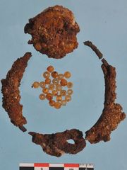 berenike-pet-cemetery