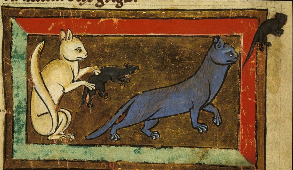 The Enduring Appeal of a Lolcat: Ancient and Medieval Cats as Pets