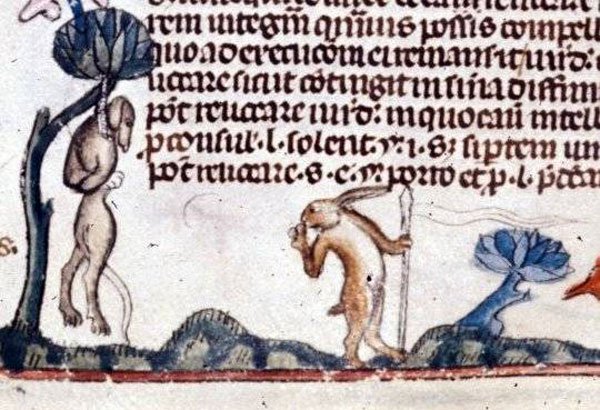 Medieval Marginalia: At It Like Rabbits – Just History Posts