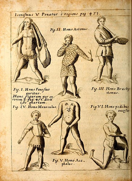 437px-P._Gasparis_Schotti_Physica_curiosa,_sive_mirabilia_naturæ_et_artis_Plate_V_p_451