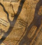 Mythical Creatures: The Headless Blemmyes – Just History Posts